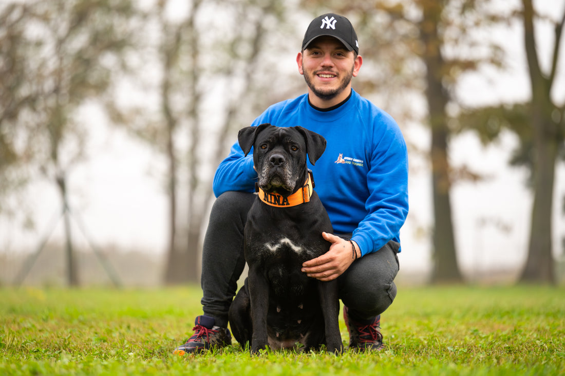 Come migliorare la relazione con il tuo cane: le basi per una relazione duratura.