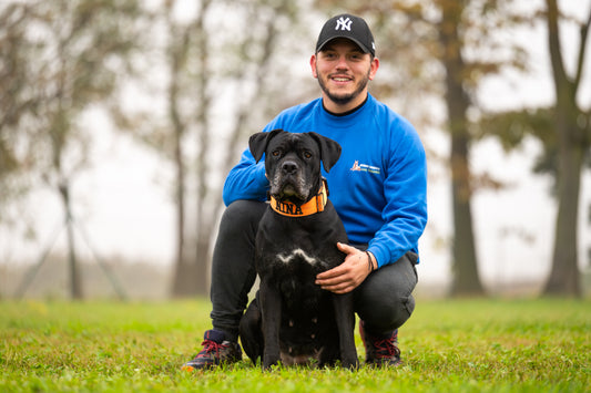 Come migliorare la relazione con il tuo cane: le basi per una relazione duratura.
