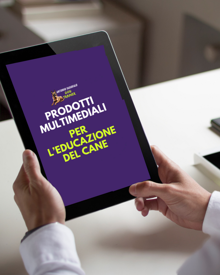 PRODOTTI MULTIMEDIALI